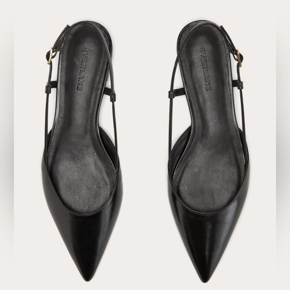 Everlane Black Pointed Toe Slingback Heels